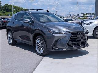 2025 Lexus NX 350 for sale in Chattanooga TN