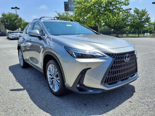 2025 Lexus NX 350 for sale in Nashville TN