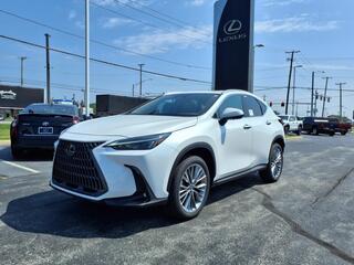 2025 Lexus NX 350 for sale in Toledo OH