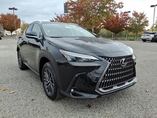 2026 Lexus NX 350 for sale in Nashville TN