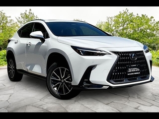 2026 Lexus NX 350 for sale in Freehold NJ