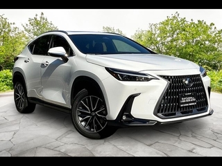 2026 Lexus NX 350 for sale in Freehold NJ