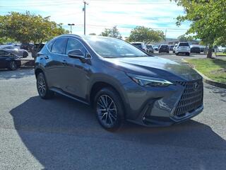 2022 Lexus NX 350 for sale in Nashville TN