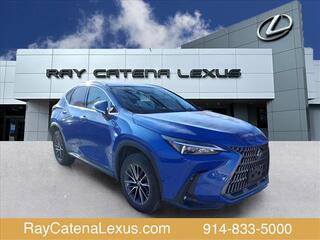 2023 Lexus NX 350 for sale in Larchmont NY