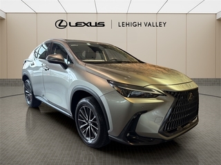 2023 Lexus NX 350 for sale in Allentown PA