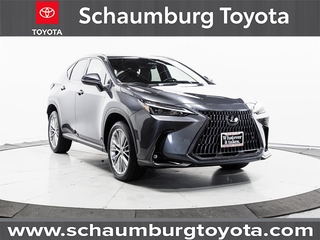 2023 Lexus NX 350 for sale in Schaumburg IL