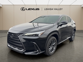 2023 Lexus NX 350 for sale in Allentown PA