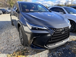 2024 Lexus NX 350 for sale in Allentown PA