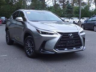 2024 Lexus NX 350