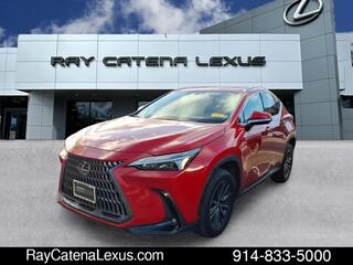 2024 Lexus NX 350 for sale in Larchmont NY