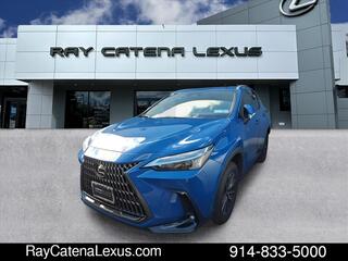 2025 Lexus NX 350 for sale in Larchmont NY