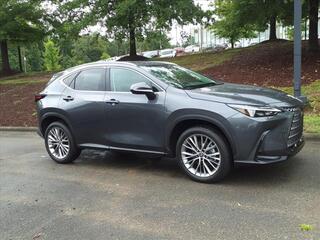 2025 Lexus NX 350 for sale in Durham NC