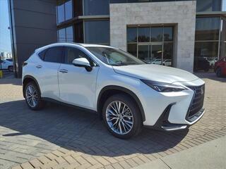 2025 Lexus NX 350 for sale in Nashville TN