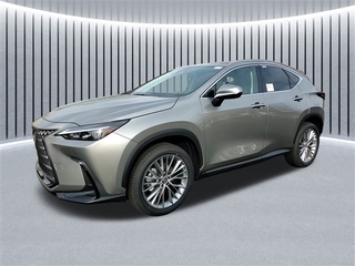 2025 Lexus NX 350 for sale in Schaumburg IL