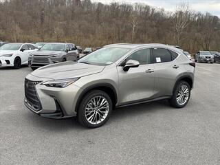 2025 Lexus NX 350 for sale in Kingsport TN