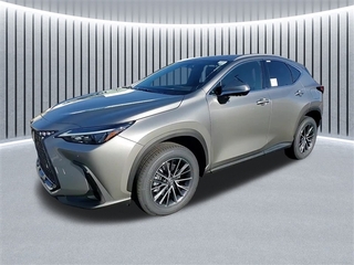 2025 Lexus NX 350 for sale in Schaumburg IL