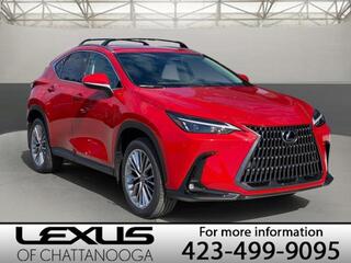 2025 Lexus NX 350 for sale in Chattanooga TN