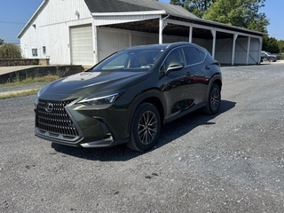 2025 Lexus NX 350 for sale in Allentown PA