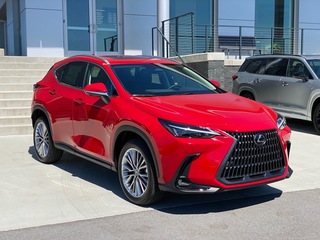 2025 Lexus NX 350 for sale in Chattanooga TN