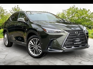 2025 Lexus NX 350 for sale in Freehold NJ