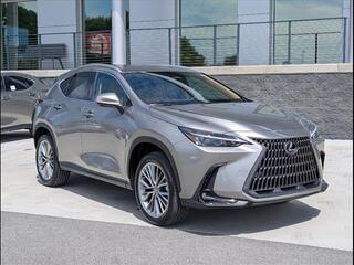 2026 Lexus NX 350 for sale in Chattanooga TN