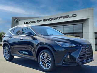2026 Lexus NX 350 for sale in Brookfield WI