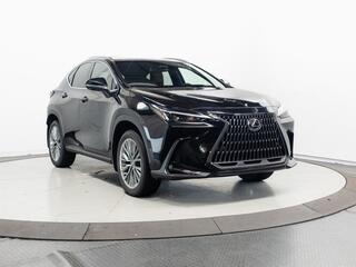 2026 Lexus NX 350 for sale in Schaumburg IL