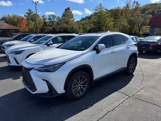 2022 Lexus NX 350 for sale in Kingsport TN