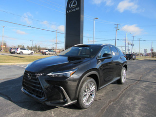 2023 Lexus NX 350 for sale in Toledo OH