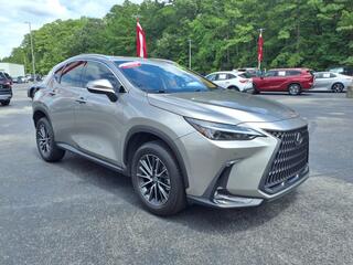 2023 Lexus NX 350 for sale in New Bern NC