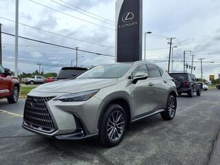2023 Lexus NX 350 for sale in Toledo OH