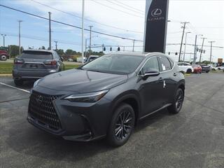 2024 Lexus NX 350 for sale in Toledo OH