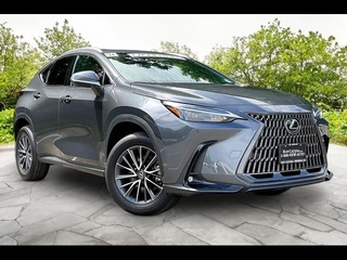 2024 Lexus NX 350 for sale in Freehold NJ