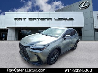 2024 Lexus NX 350 for sale in Larchmont NY