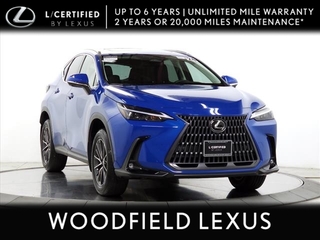 2024 Lexus NX 350 for sale in Schaumburg IL