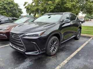 2024 Lexus NX 350 for sale in Toledo OH