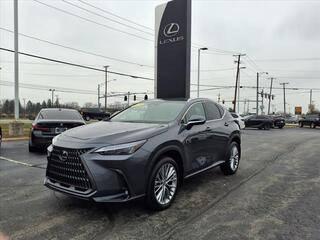 2025 Lexus NX 350 for sale in Toledo OH