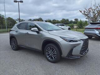 2025 Lexus NX 350 for sale in Nashville TN