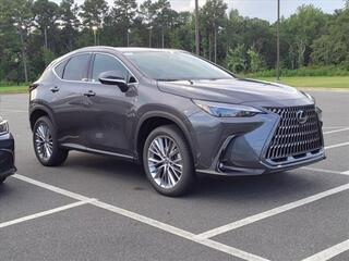 2025 Lexus NX 350 for sale in Durham NC