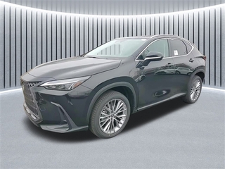 2025 Lexus NX 350 for sale in Schaumburg IL