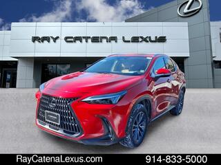 2025 Lexus NX 350