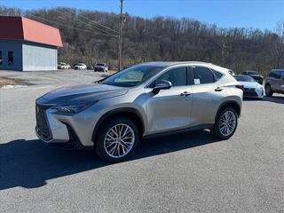 2025 Lexus NX 350 for sale in Kingsport TN