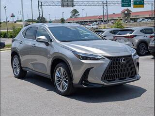 2025 Lexus NX 350 for sale in Chattanooga TN