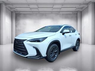 2026 Lexus NX 350 for sale in Brentwood TN