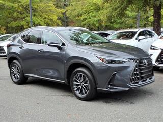 2026 Lexus NX 350 for sale in Durham NC