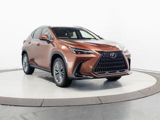 2026 Lexus NX 350 for sale in Schaumburg IL