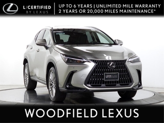 2022 Lexus NX 350 for sale in Schaumburg IL