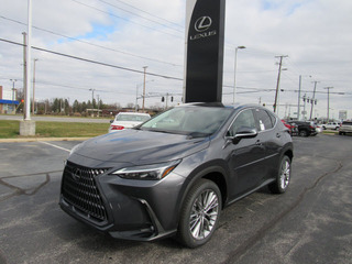 2023 Lexus NX 350 for sale in Toledo OH