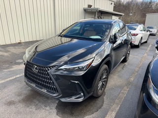 2023 Lexus NX 350 for sale in Kingsport TN