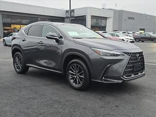 2023 Lexus NX 350 for sale in Brookfield WI